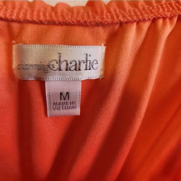 Charming Charles brand Summer dress - Picture 6 of 16